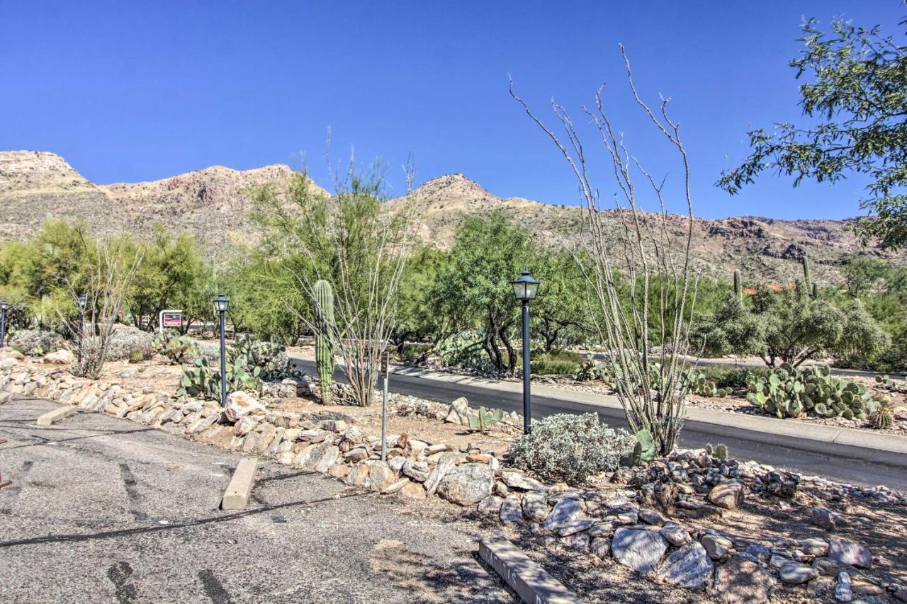 Catalina Foothills, Tucson Valley Hub With View المظهر الخارجي الصورة